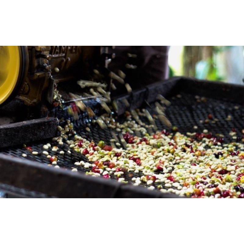 Cà Phê Mật Ong 1kg Viethealthy Nguyên Chất Chống Oxy Hoá