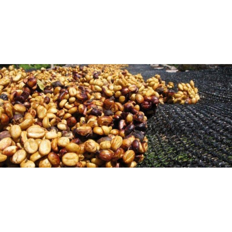 Cà Phê Mật Ong 1kg Viethealthy Nguyên Chất Chống Oxy Hoá