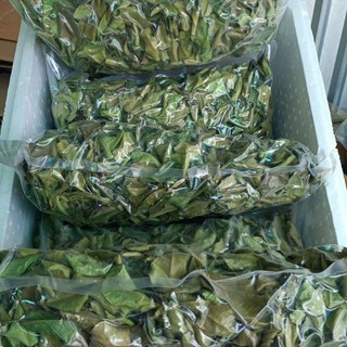 lá chúc sấy khô , lá chanh thái sấy khô