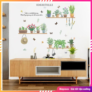Decal dán tường những chậu câu xinh xắn