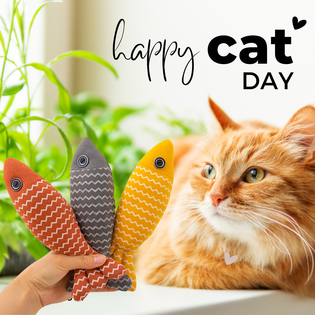 Đồ chơi cá nhồi catnip cho mèo giúp mèo thư giãn xả stress