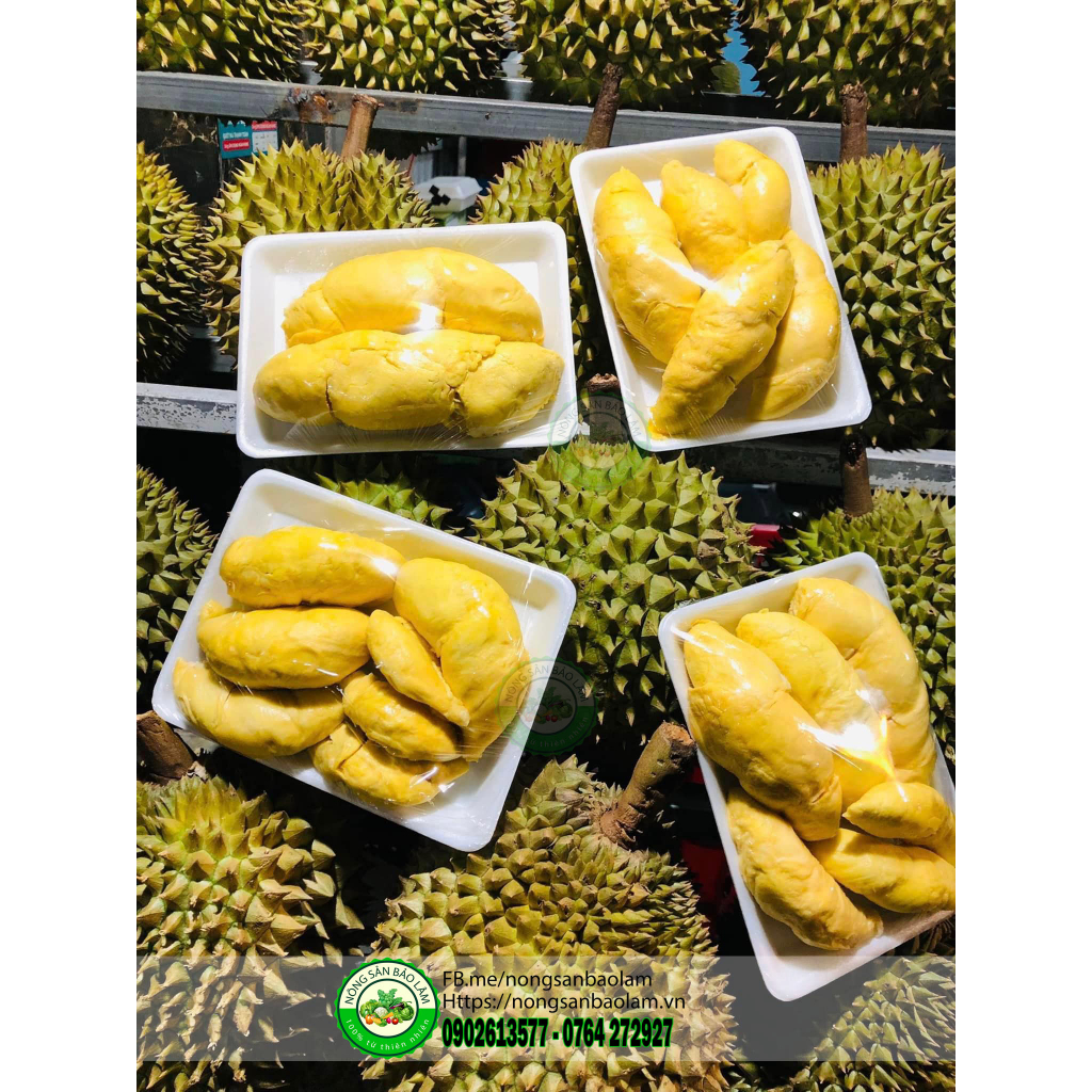 Cơm Sầu Riêng Ri 6