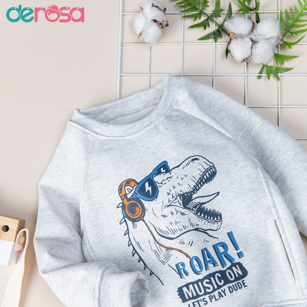 Áo nỉ dài tay Derosa Kids cho bé từ 2 đến 6 tuổi AWKDD1087