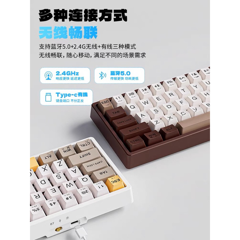 Bàn phím cơ không dây C65V2 ~Plate Mount/Layout 65% có núm