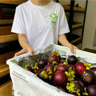 VG FARM  Măng Cụt Bảo Lộc Lâm Đồng - Măng hái trực tiếp tại vườn, ngon ngọt đậm vị bao ăn ạ