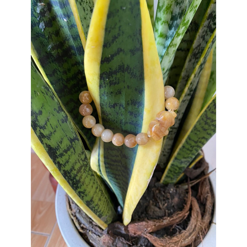 Vòng tay đá thạch anh vàng vân 10 ly charm Tỳ Hưu