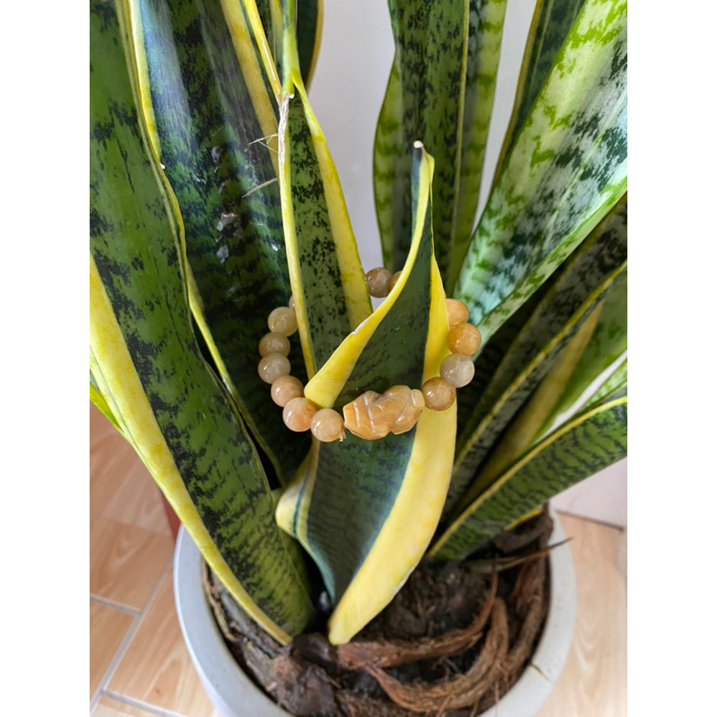 Vòng tay đá thạch anh vàng vân 10 ly charm Tỳ Hưu