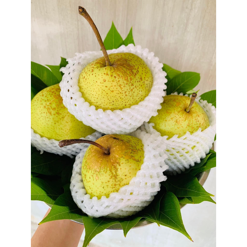 🍐Lê Mật Hà Giang🍐