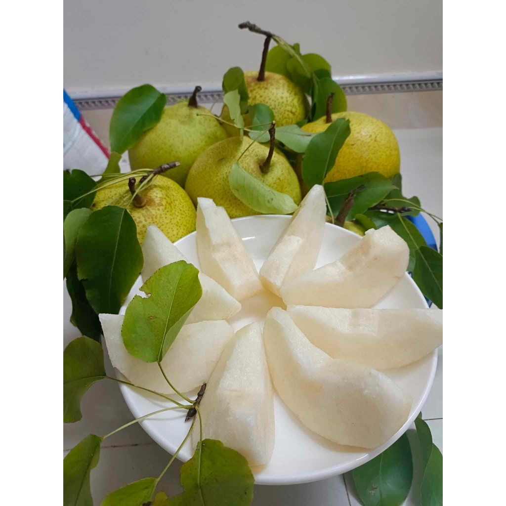 🍐Lê Mật Hà Giang🍐