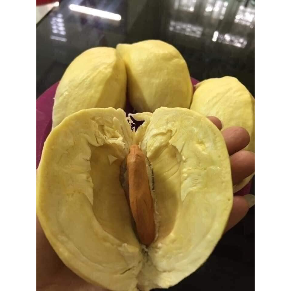 Cơm Sầu Riêng Thái Monthong