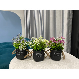 Lẵng hoa mộc hương, chậu hoa nhựa mini để bàn+ kệ trang trí