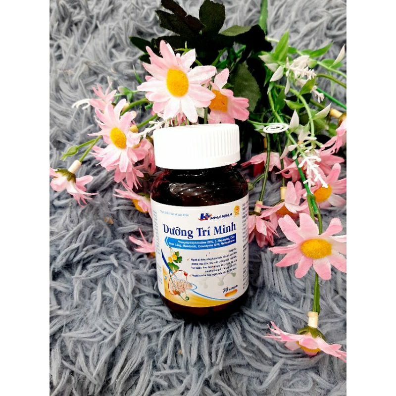 Hoạt huyết dưỡng não Dương Trí Minh, tăng cường lưu thông máu não