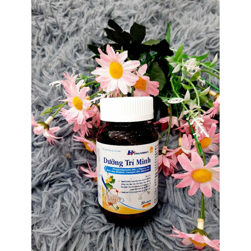 Hoạt huyết dưỡng não Dương Trí Minh, tăng cường lưu thông máu não