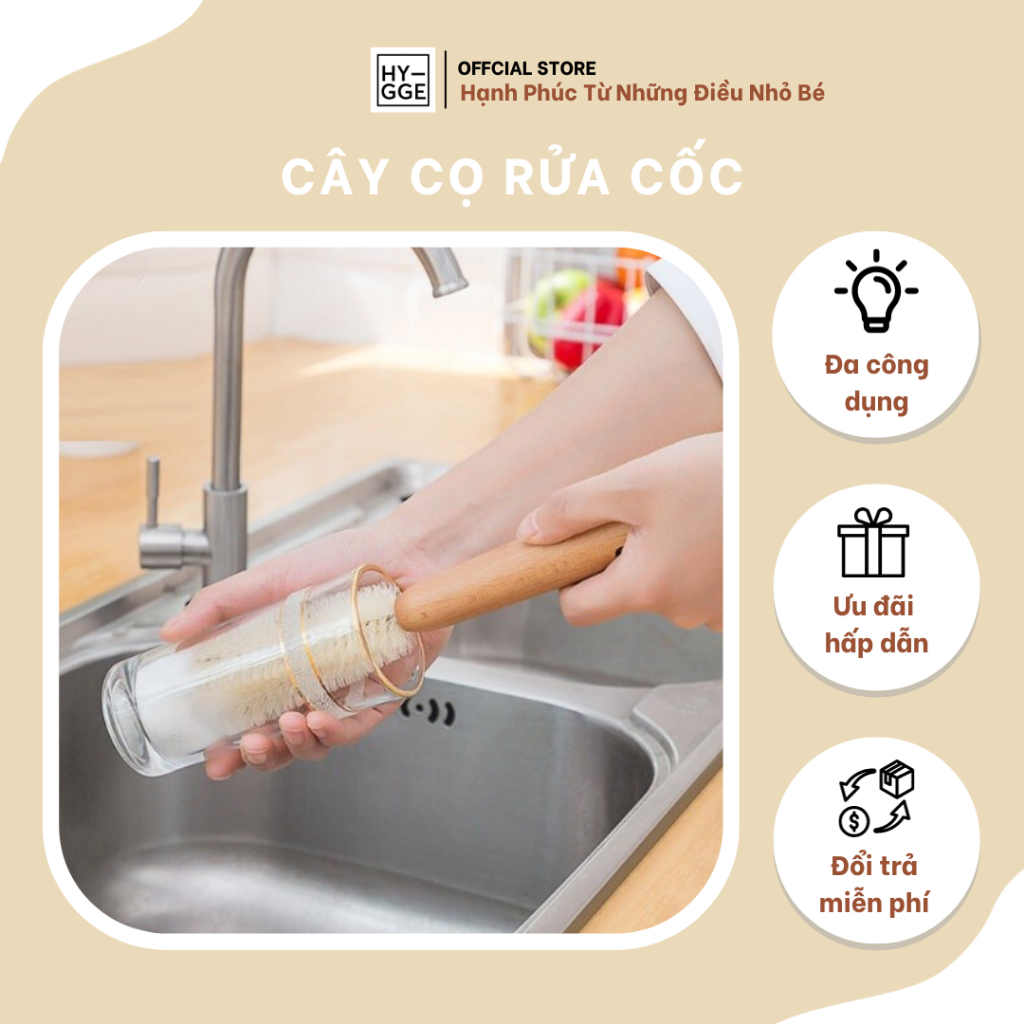 Cây Cọ Rửa Cốc, Cọ Cốc, Cọ Bình Lọ