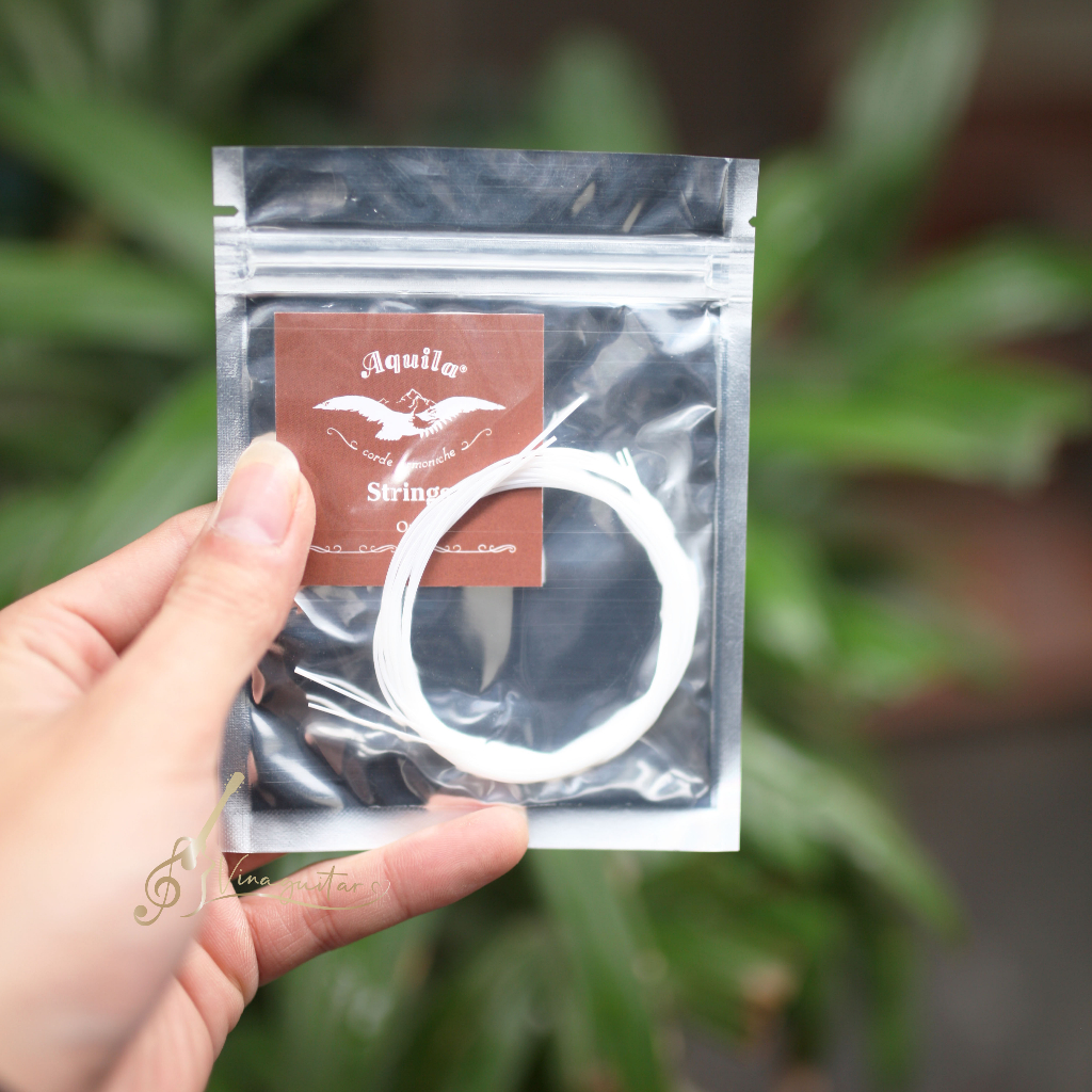 Bộ 4 dây Ukulele Cho Đàn Ukulele Các Cỡ