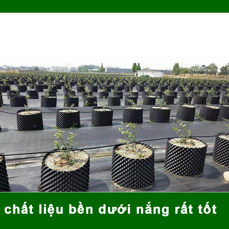 25 MÉT Bầu ươm cây V6 CAO 40CM dày 6mm, cắt theo mét dài khách đặt, tặng ốc vít-77901
