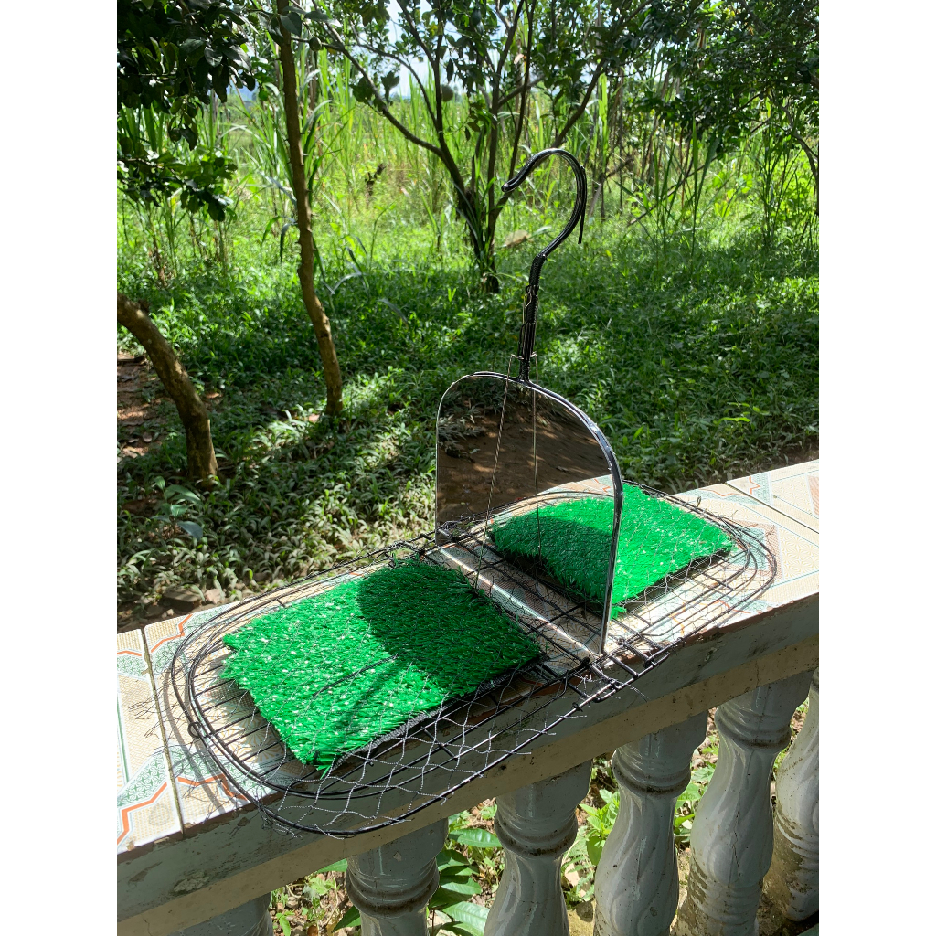 Mẹt gương bẫy chim cút tặng kèm loa + thẻ nhớ