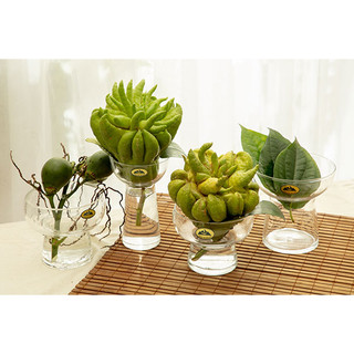 Ly thủy tinh cắm phật quả phật thủ/ bát cắm phật thủ, trồng thủy tiên, thủy tinh đẹp