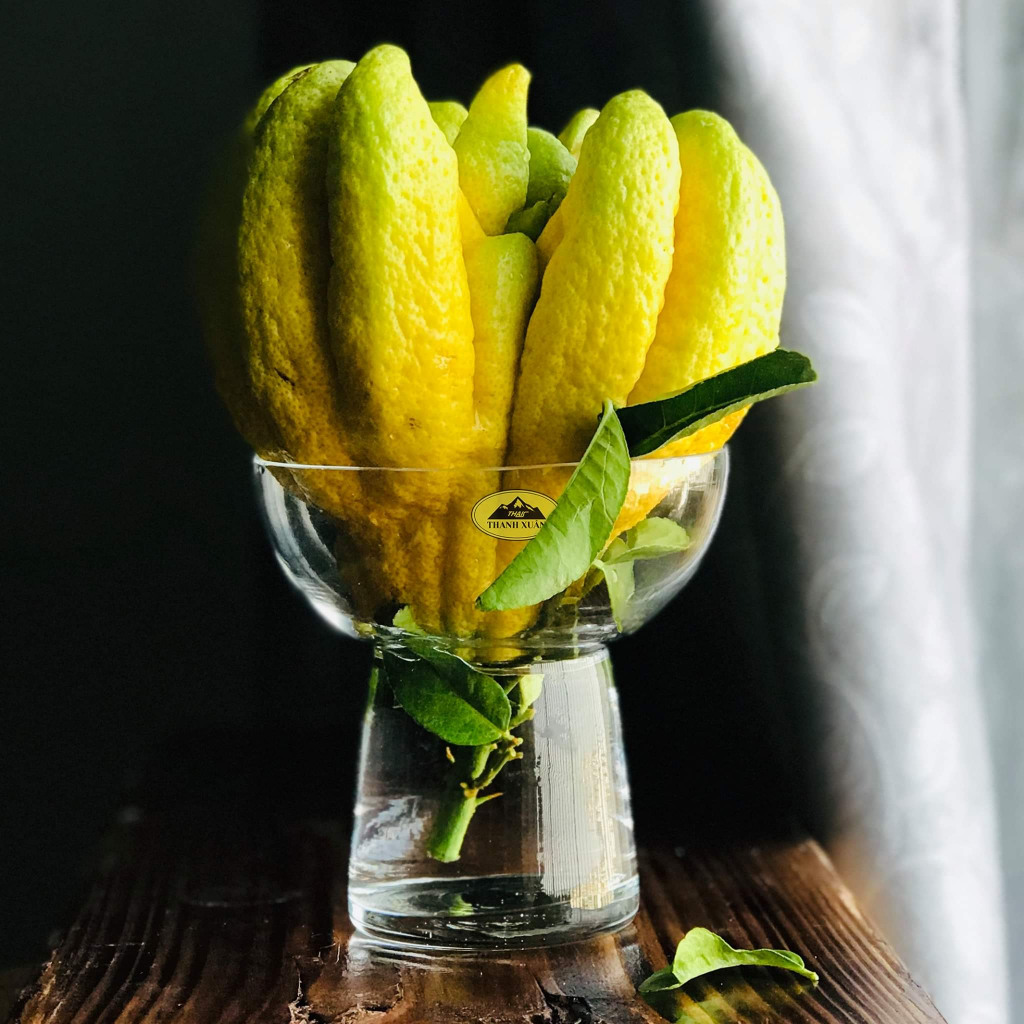 Ly thủy tinh cắm phật quả phật thủ/ bát cắm phật thủ, trồng thủy tiên, thủy tinh đẹp