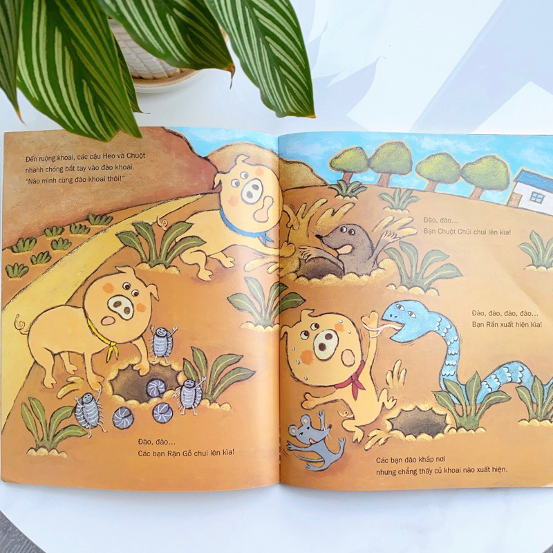 Sách Ehon - Phát triển quan sát - Combo quan sát 1 - Cho bé 3 6 tuổi (Tranh truyện ehon Nhật Bản cho bé) | BigBuy360 - bigbuy360.vn