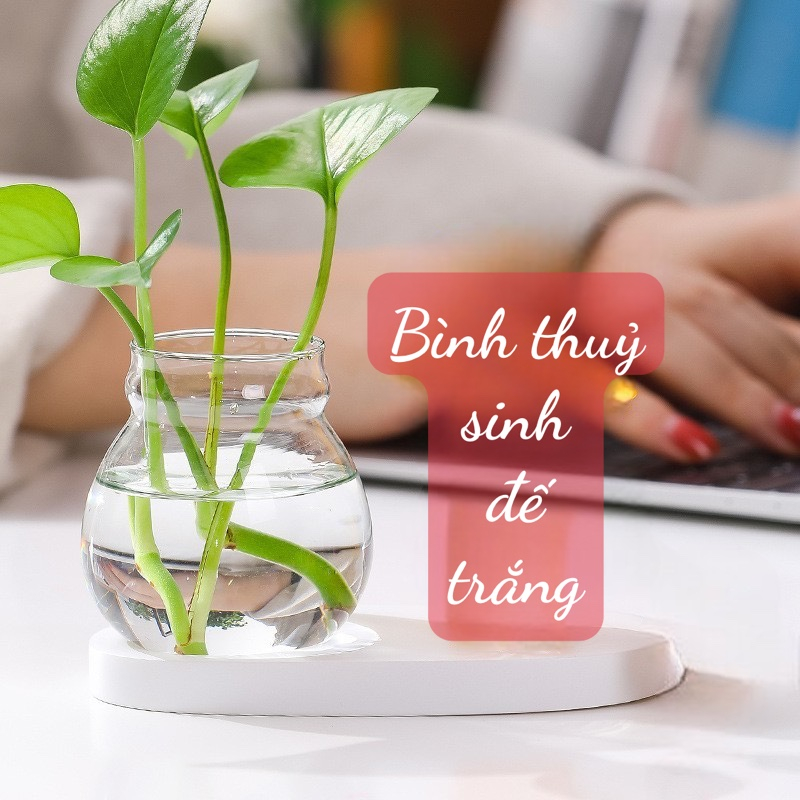 Bình thủy sinh mini để bàn, Bình thủy canh kèm cô gái tập yoga,bé trai bé gái trang trí bàn làm việc,góc học tập,Decor