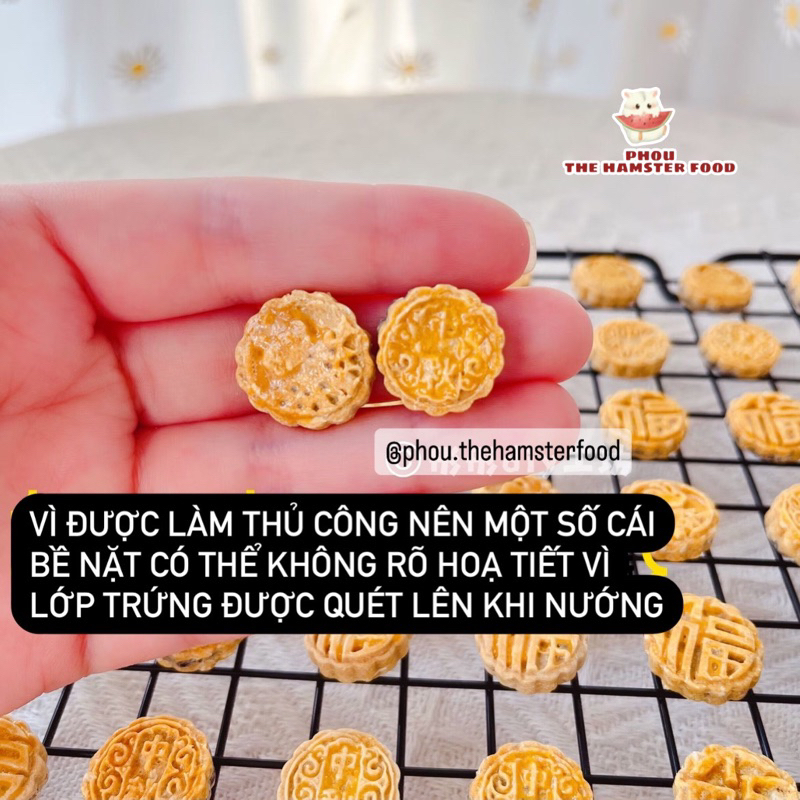 Bánh mài răng hình bánh trung thu cho hamster