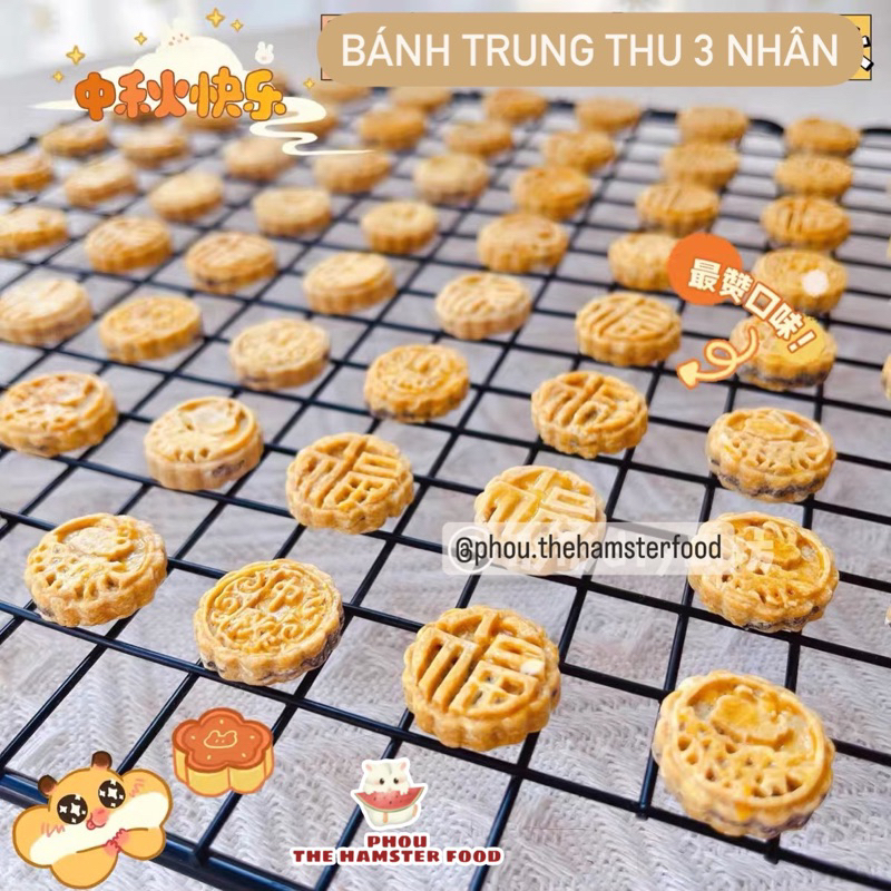 Bánh mài răng hình bánh trung thu cho hamster