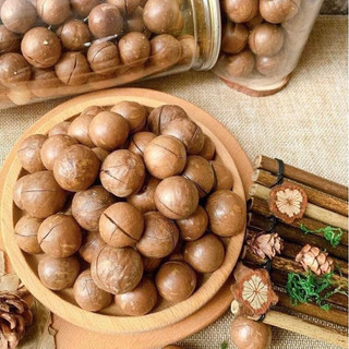 Hạt Macca Đắk Lắk nứt vỏ Nhà Coca - Hạt mắc ca nứt vỏ 500gr (Tặng kèm khui hạt)
