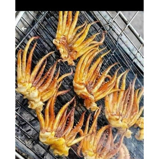râu mực xuất khẩu 1khay