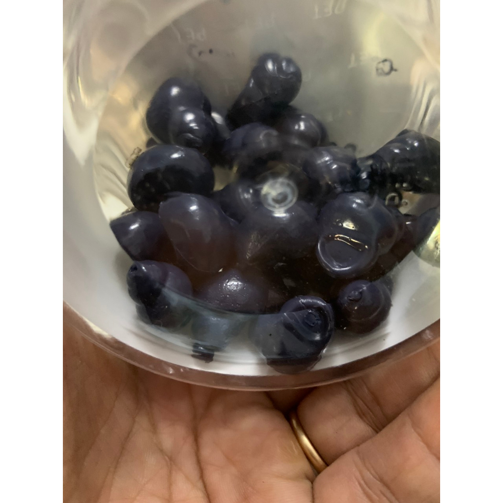 Hạt Đan Sa Phạm, cá lửng , chép lớn , trăm đen