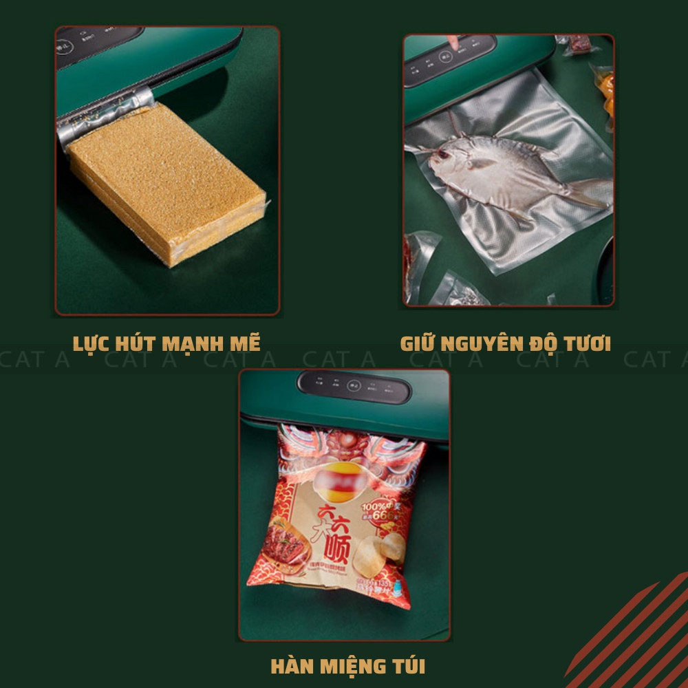 Máy Hút Chân Không Bảo Quản Thực Phẩm ZK-3002 công suất 130w - Lực Hút 60 KPa.