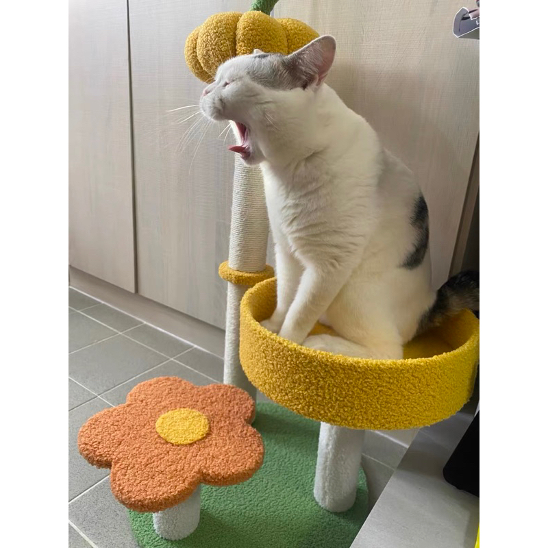 Cattree- trụ cào móng tone Vàng cam siêu xinh cho mèo