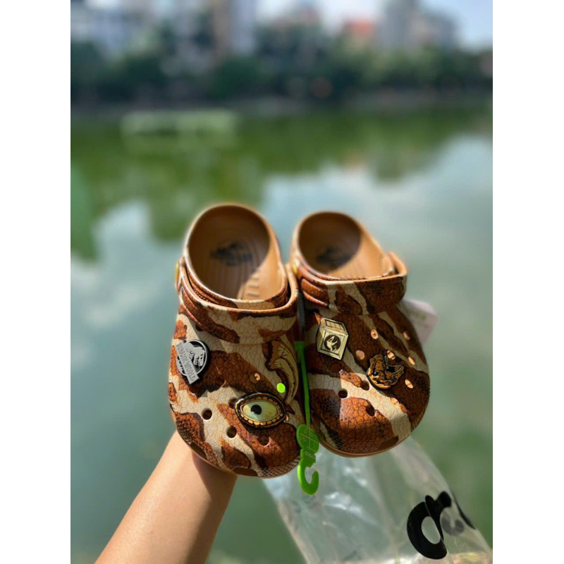 Sục khủng long cho bé tặng sticker như hình