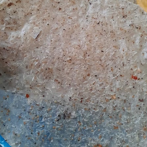 Bánh tráng nước dừa đặc sản Bình Định| Bánh tráng nước dừa đặc sản bình định cực kì ngon