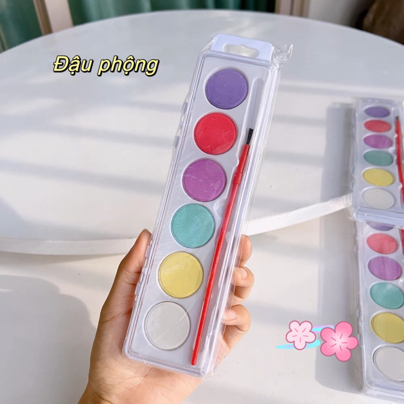 Hộp 6 màu nước dạng khô
