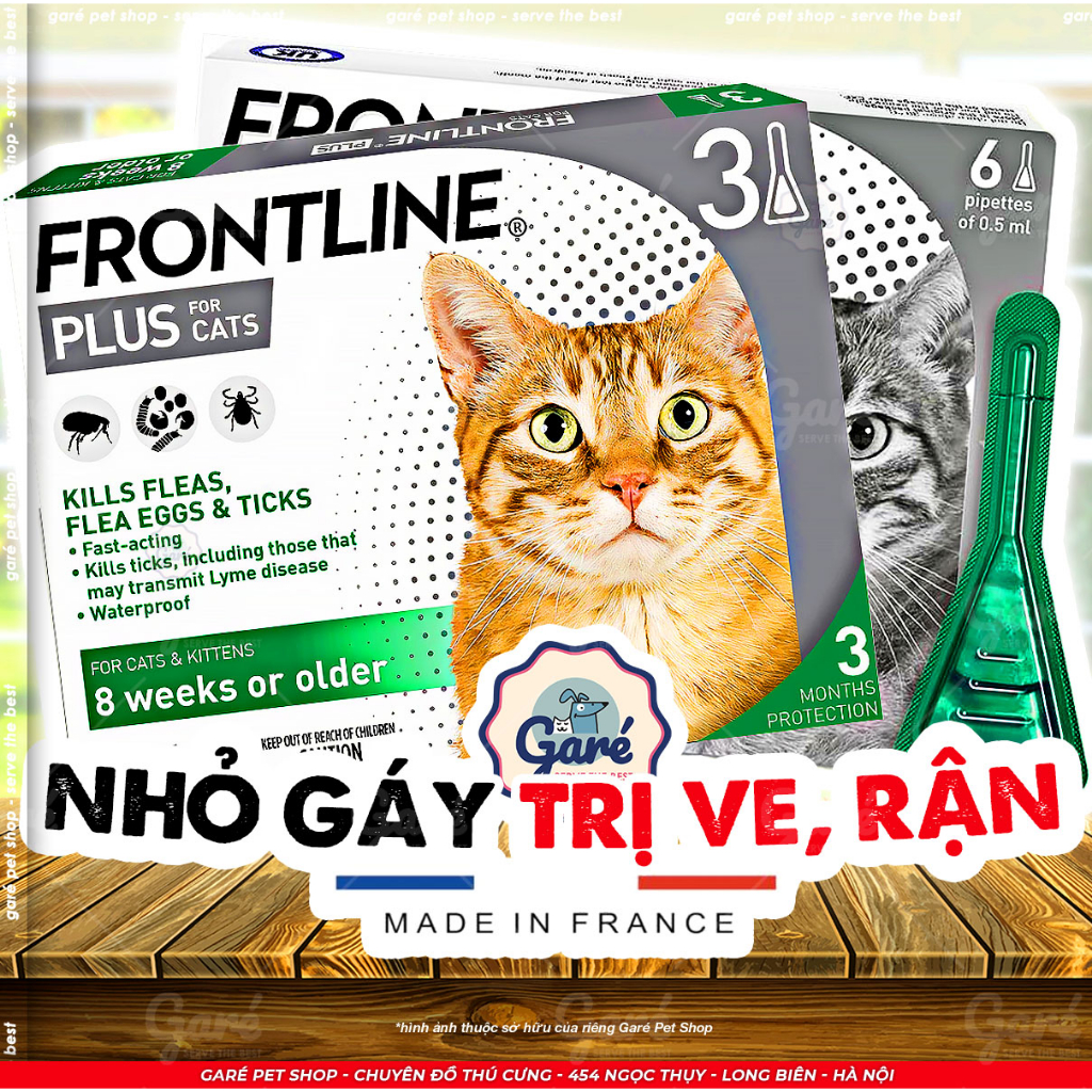 Nhỏ gáy Frontline Plus ngừa ve, rận tác dụng nhanh dành cho Mèo và Mèo con trên 8 tuần tuổi