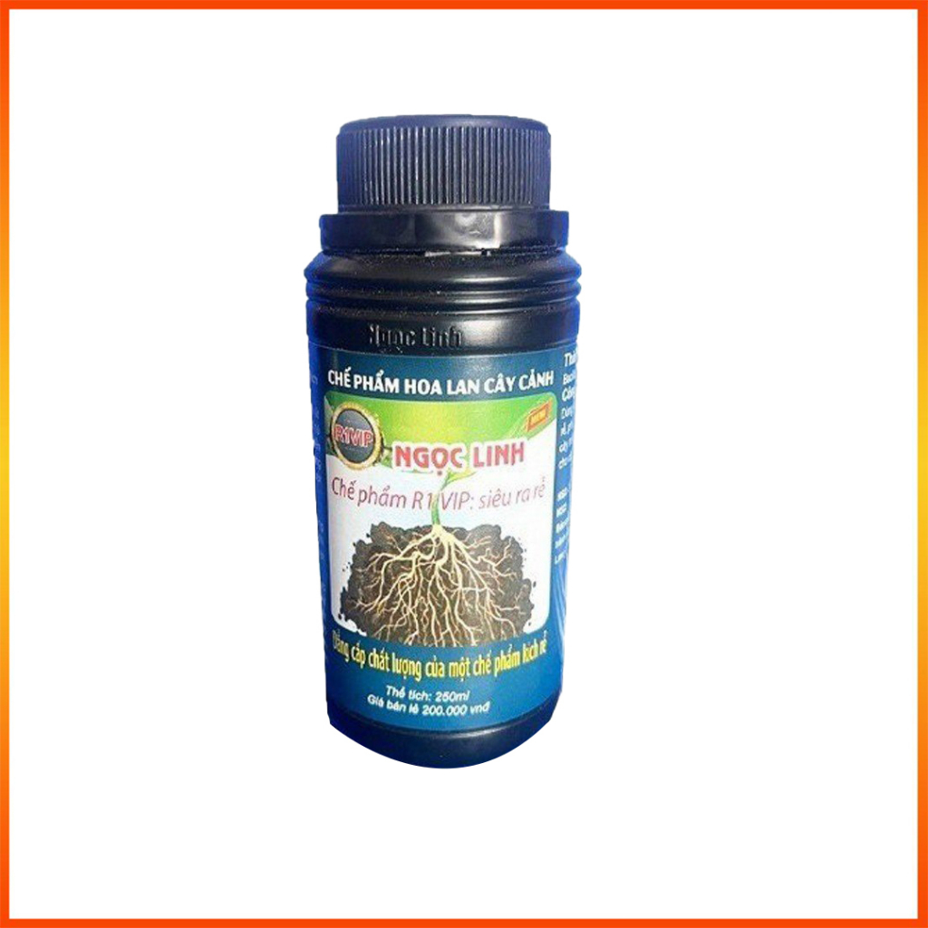 RA RỄ CỰC MẠNH CHO LAN & CÂY CẢNH | R1 NGỌC LINH