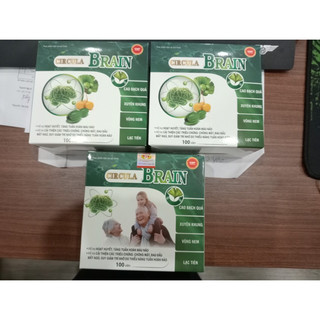 Circulation Brain hoạt huyết dưỡng não, tăng cường tuần hoàn máu não, giảm hoa mắt, chóng mặt, đau mỏi vai gáy, tê bì ct