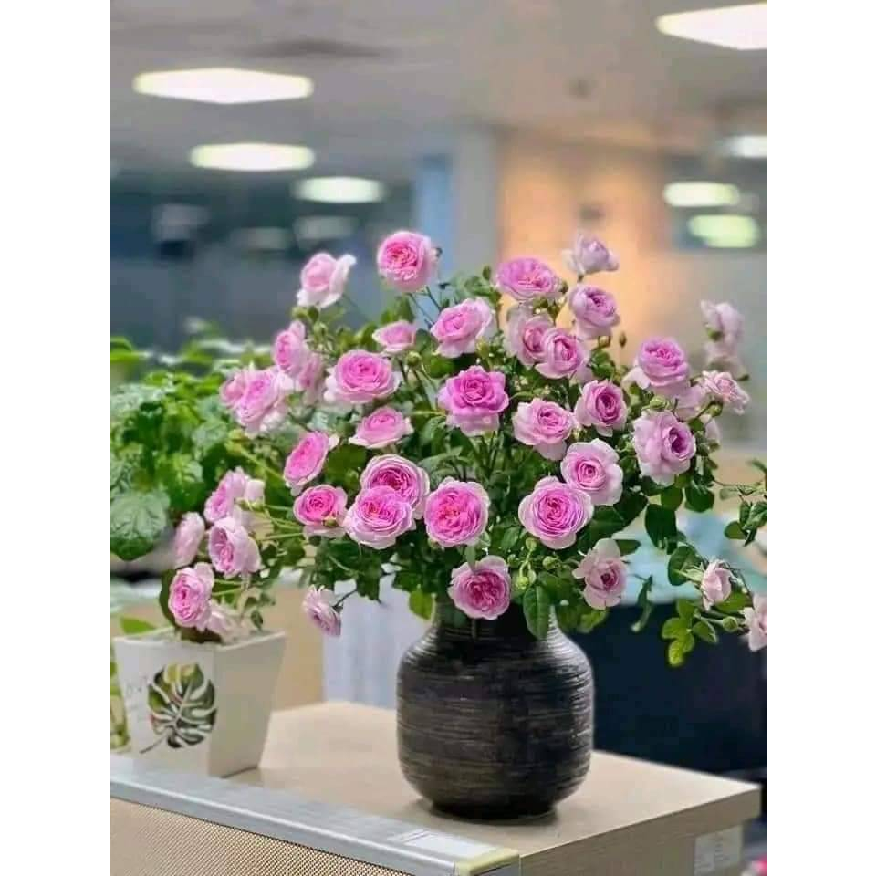 Bình hoa dáng bóng đèn mộc và vẽ để bàn trà hay phòng khách xinh đẹp vô cùng gốm Bát Tràng cao cấp