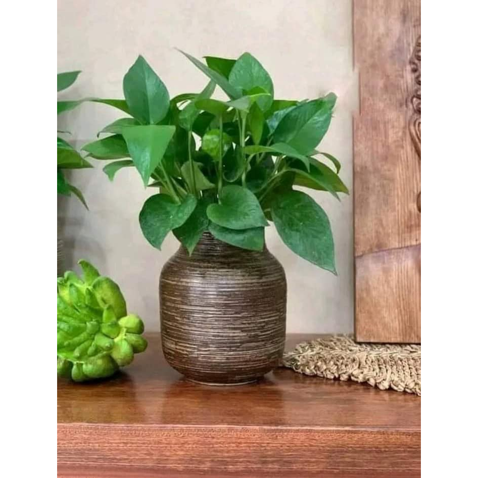 Bình hoa dáng bóng đèn mộc và vẽ để bàn trà hay phòng khách xinh đẹp vô cùng gốm Bát Tràng cao cấp