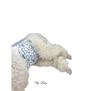 TÃ VẢI CUTE QUẤN BỤNG CHO CÚN ĐỰC