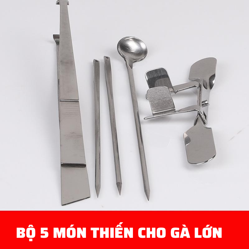 Dụng cụ thiến gà 5 món Dương Ninh thiến gà chuyên nghiệp TG104