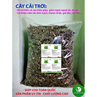 Cây cải trời khô Cực tốt cho người bướu cổ