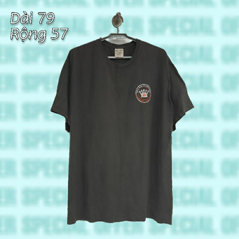 Áo thun 2hand siêu đẹp