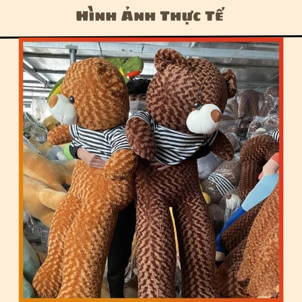 Gấu Bông Teddy To 180 Cm ❤️𝑯𝒂̀𝒏𝒈 𝑪𝒂𝒐 𝑪𝒂̂́𝒑❤️ Gấu Bông To Gấu Bông Hình Thú Siêu To Khổng Lồ Vừa Ôm Thoải Chubby Gấu Bông