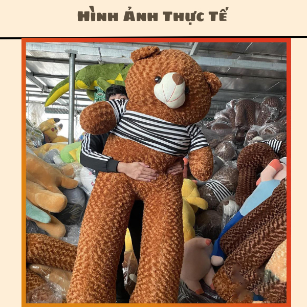 Gấu Bông Teddy To 180 Cm ❤️𝑯𝒂̀𝒏𝒈 𝑪𝒂𝒐 𝑪𝒂̂́𝒑❤️ Gấu Bông To Gấu Bông Hình Thú Siêu To Khổng Lồ Vừa Ôm Thoải Chubby Gấu Bông
