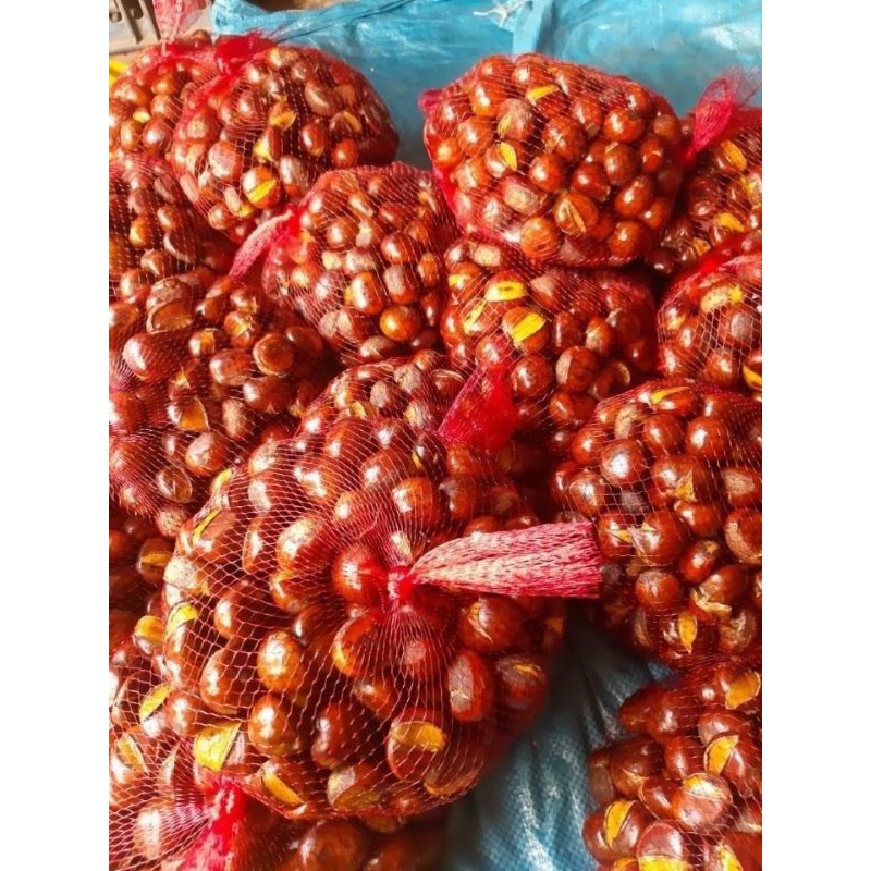 Hạt Dẻ sống  Túi 1kg