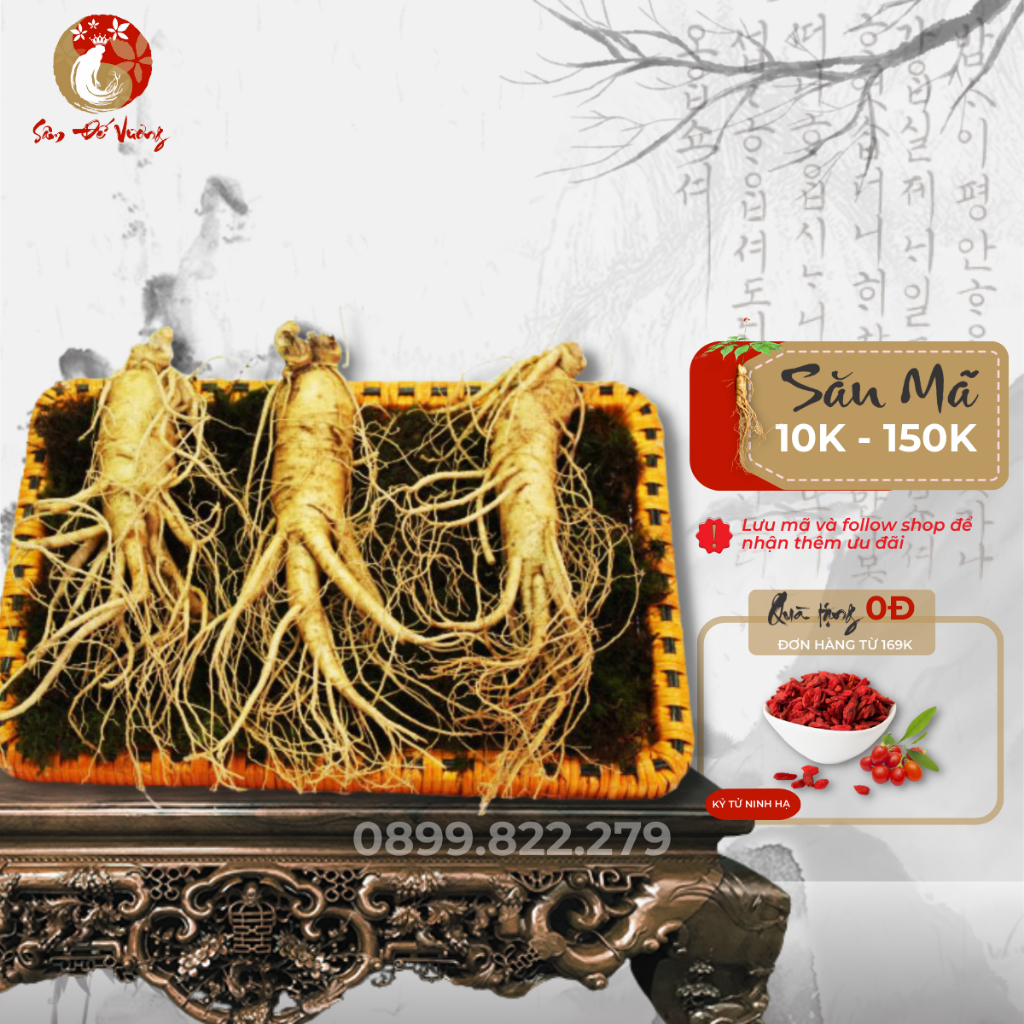 Sâm Tươi Hàn Nguyên Đất - Nhân Sâm Tươi Núi Geumsan Chuyên Nấu Lẩu, Hầm Canh - Tùy Khu Vực Để Đóng Gói - Sâm Đế Vương