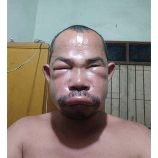 Mật ong rừng nguyên chất