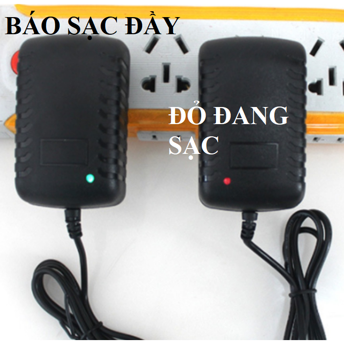 Sạc xe điện trẻ em, sạc xe ô tô điện trẻ em 12v 1000mah có đèn báo tự ngắt khi đầy chân cắm 5.5mm